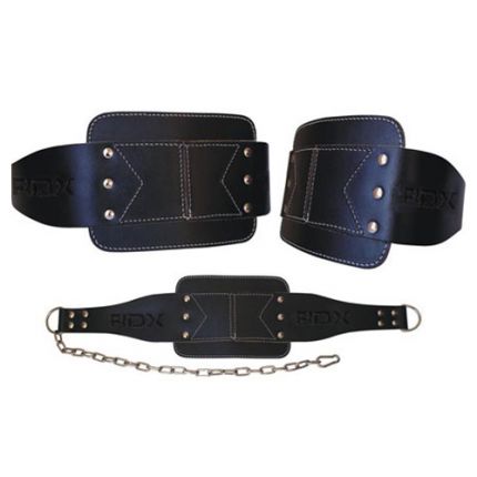 Weight Lifting Belts